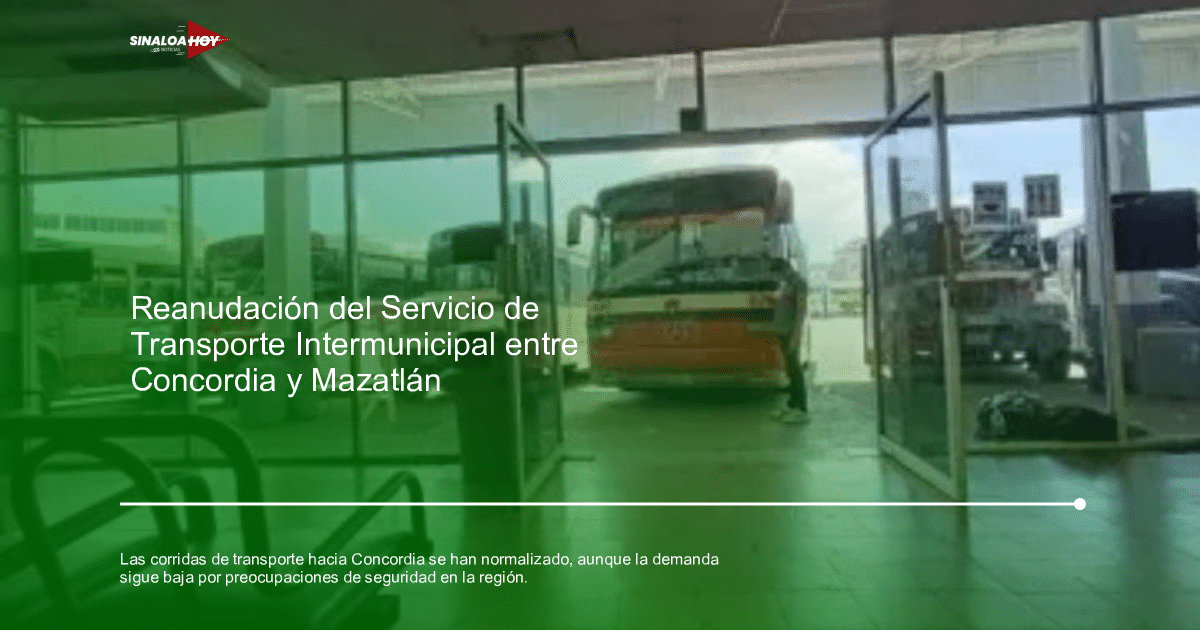 accidente concordia, demanda de pasajeros., recuperación de servicios, situación de violencia, transporte público