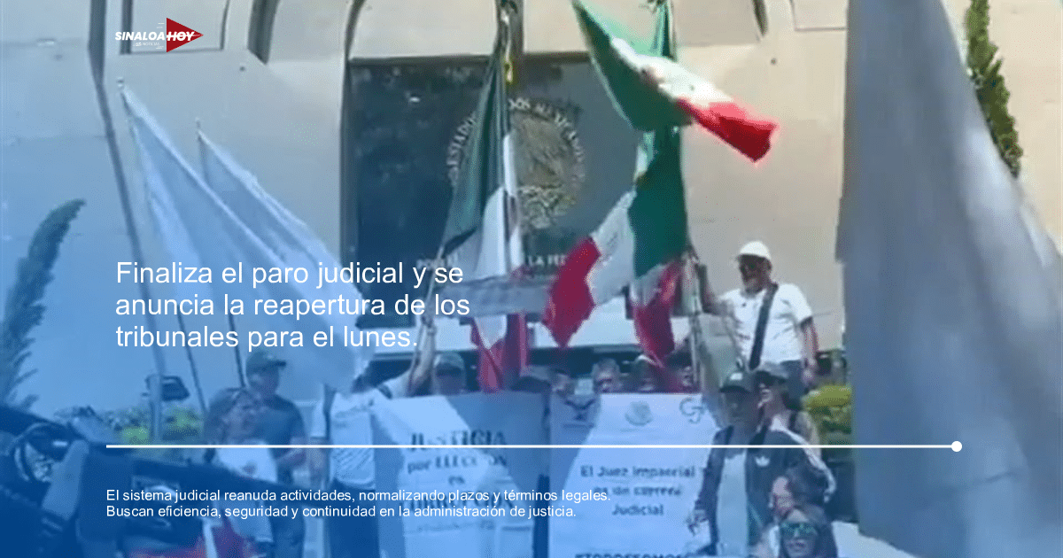 plazos legales, procedimientos legales., Reanudación judicial, seguridad sanitaria, sistema de justicia.