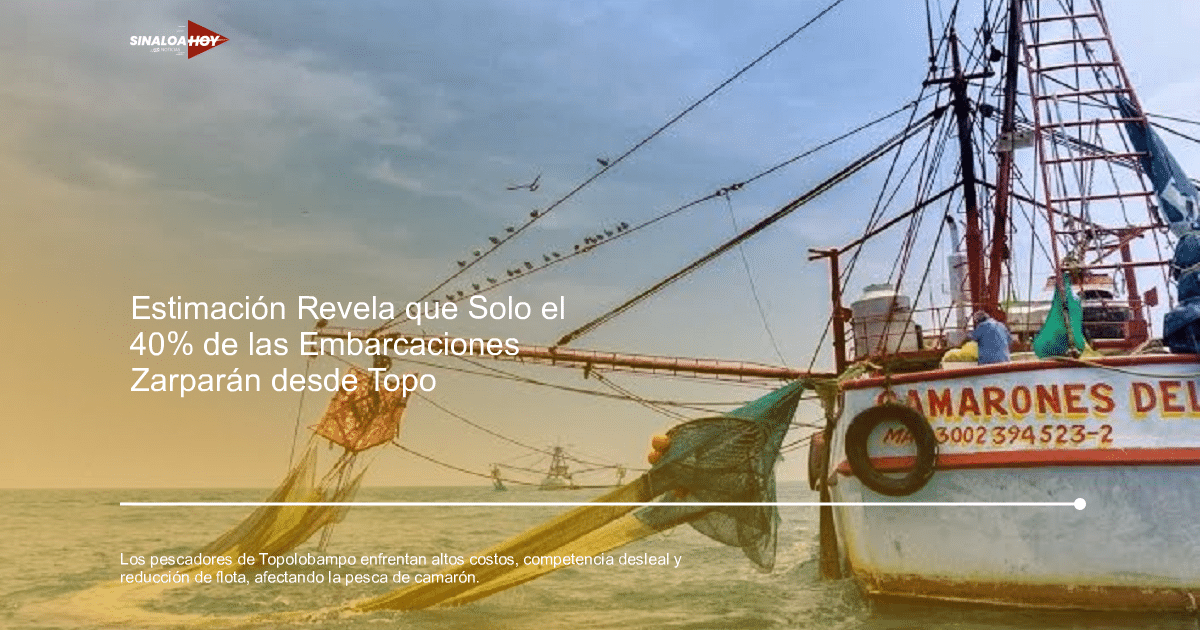Accidente Topolobampo, Competencia de mercado, desafíos económicos, Pesca de camarón, reducción de flota.
