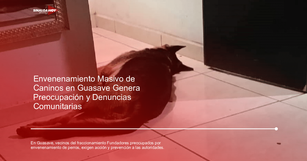 #Algodoneros de Guasave, comunidad en alerta, crueldad animal, Envenenamiento de animales, seguridad vecinal.