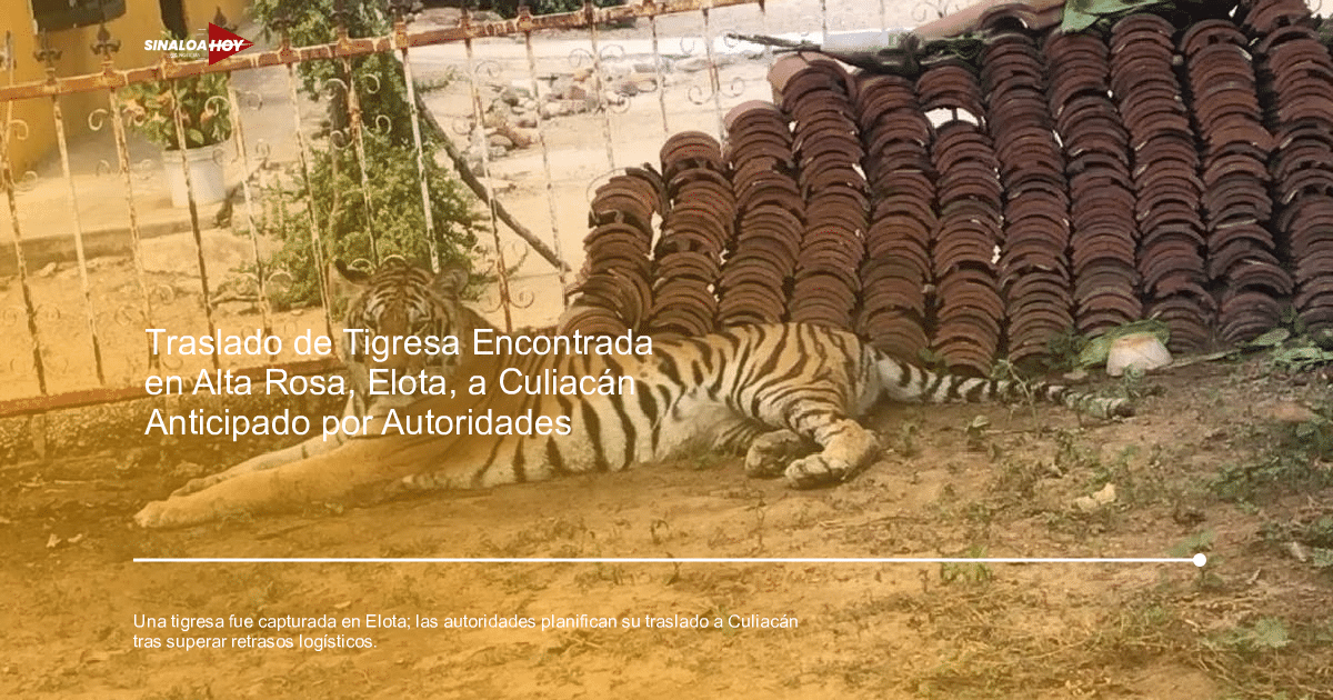 accidente Culiacán, alerta de seguridad, autoridades, tigresa, traslado