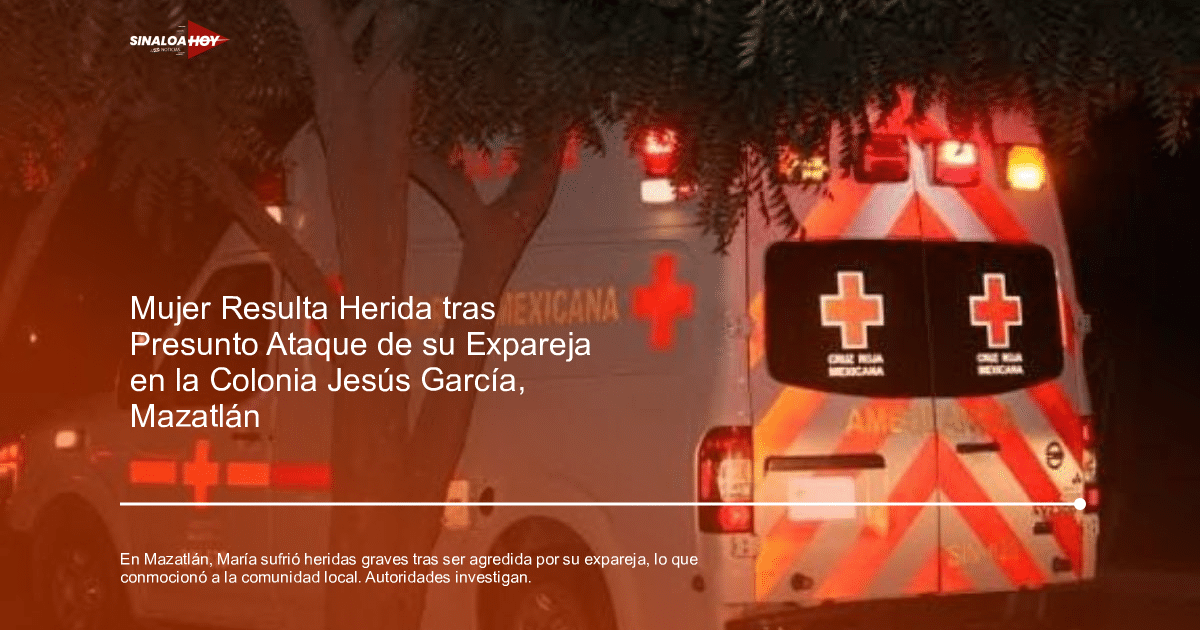 . Sinaloa, agresion, apoyo a víctimas., investigación policial, violencia doméstica