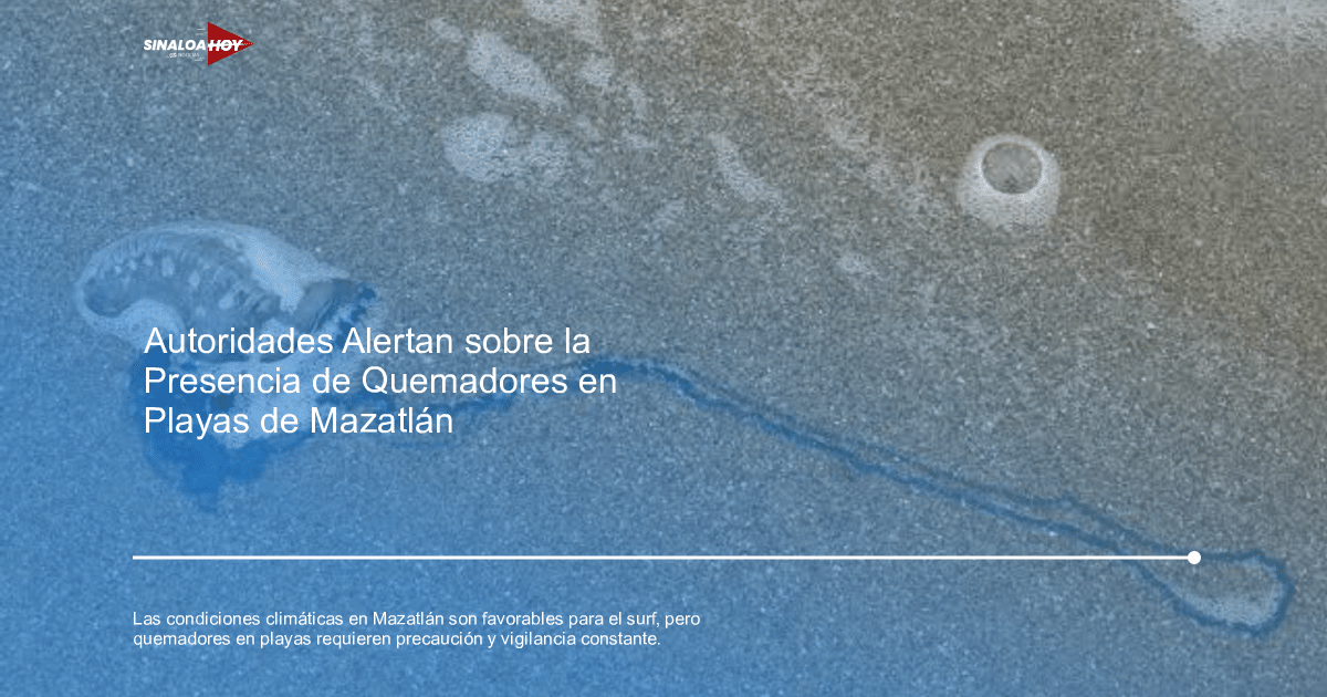 condiciones climáticas, deportesurf, Mazatlán, medidas de precaución., seguridad en playas