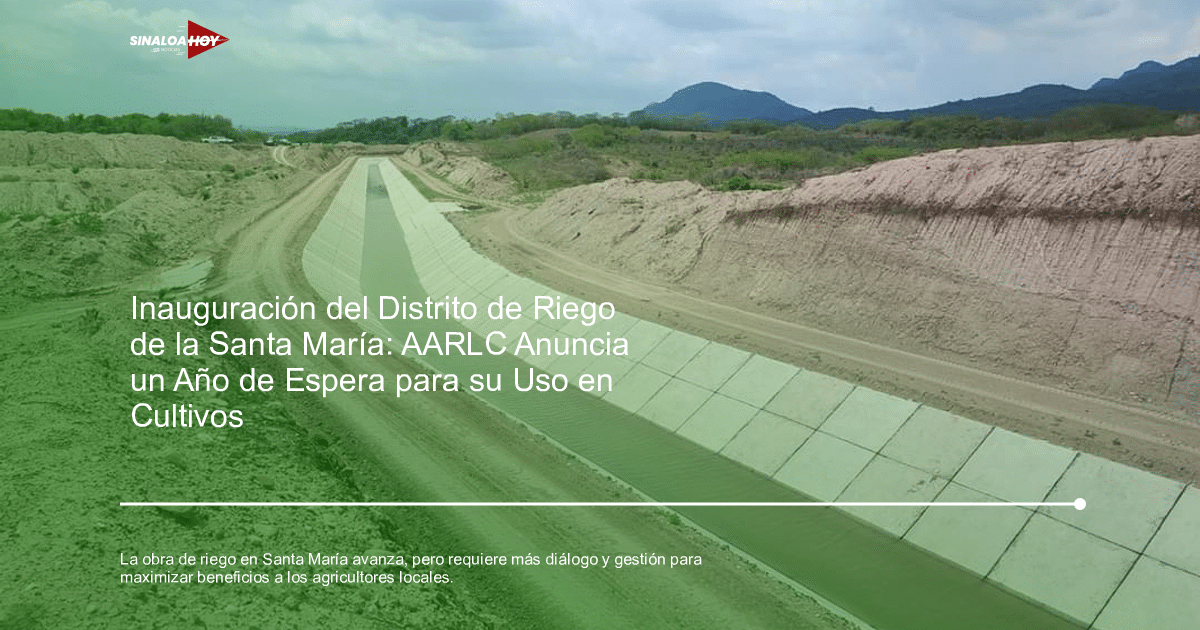 #Agricultura #Trigo #Clima, accidente Escuinapa, daño a infraestructura, gestión del agua, manejo de recursos hídricos.