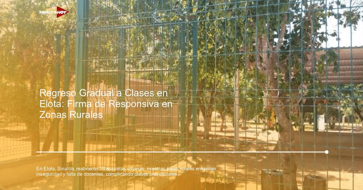 #EducaciónAmbiental, Inseguridad, regreso a clases, zonas rurales, Zonas urbanas