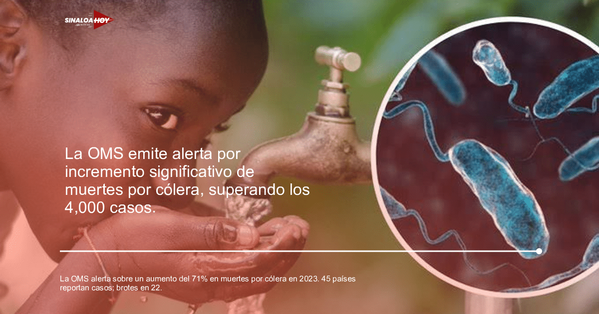 alerta sanitaria, Brotes Epidémicos, Cólera, Enfermedades Infecciosas, salud pública