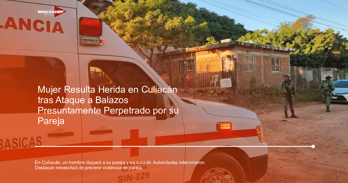 accidente Culiacán, intervención policial, relaciones saludables., violencia de género, violencia doméstica