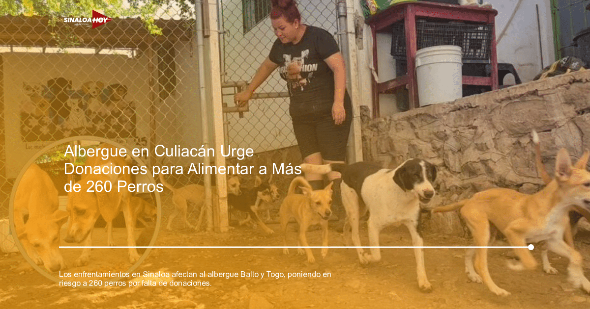 accidente Culiacán, albergue de animales, donaciones, Inseguridad, solidaridad
