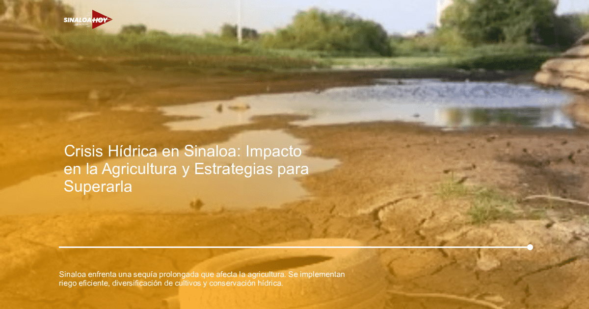 Paisaje seco con neumático y agua superficial en Sinaloa, reflejando la sequía prolongada.