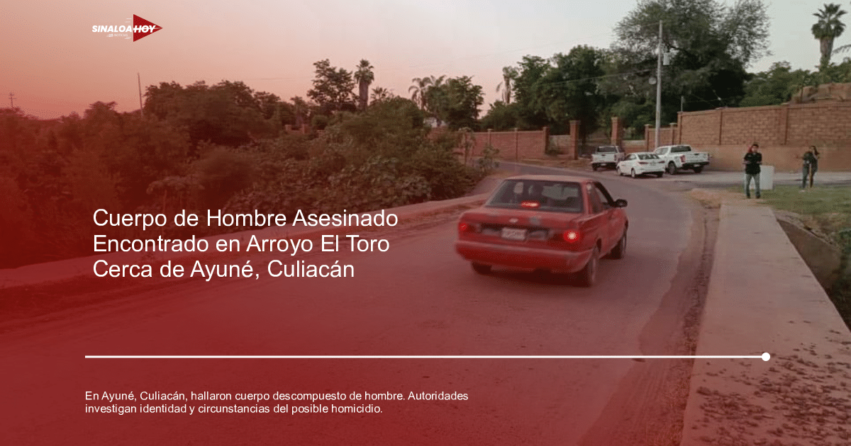 Camino curvado al atardecer con auto rojo y vegetación densa