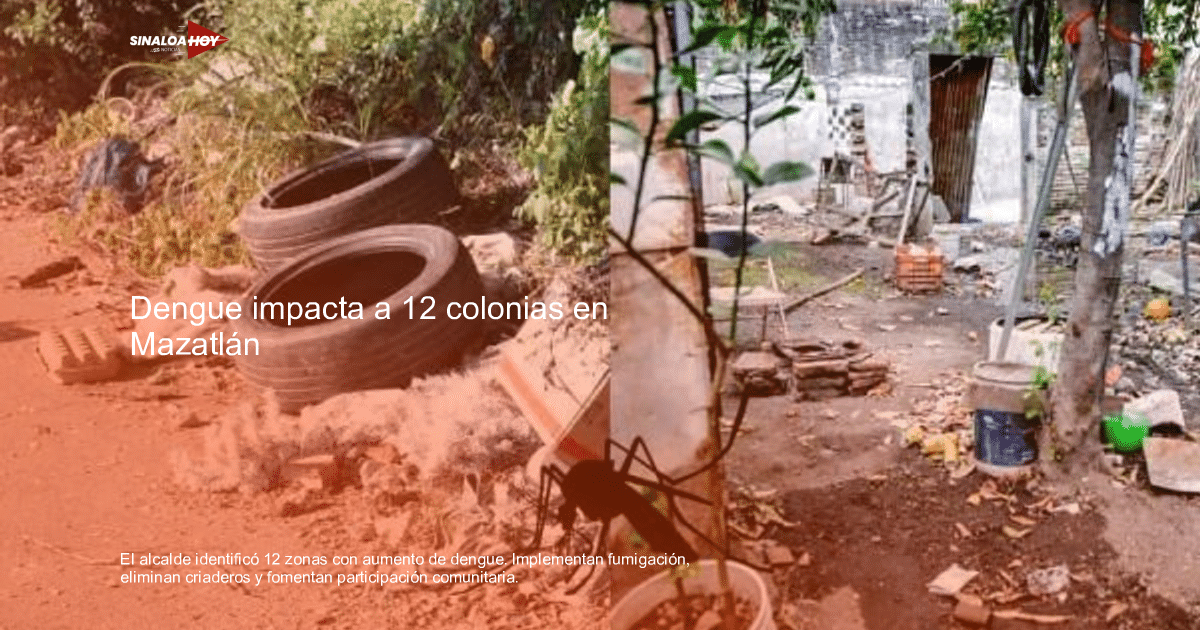 Área descuidada con basura y escombros, potencial criadero de mosquitos.