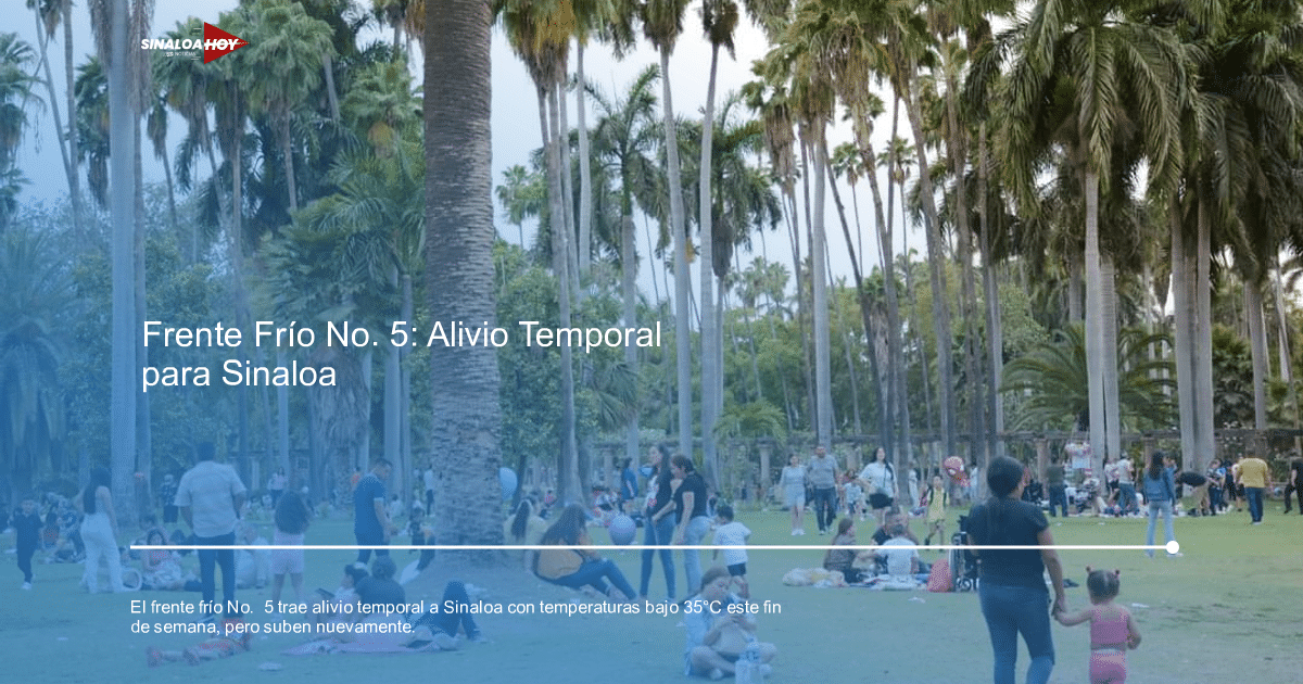Personas disfrutando en un parque de Sinaloa con palmeras y vegetación durante un frente frío.