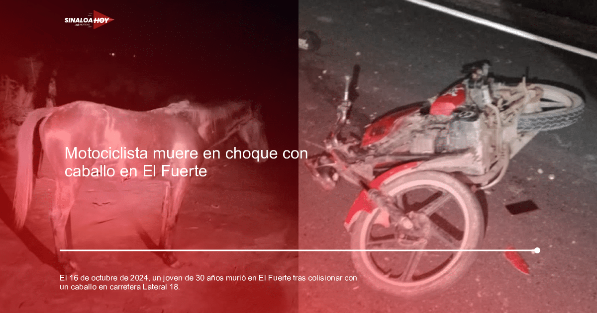 Accidente nocturno en El Fuerte: motocicleta caída y caballo en la carretera