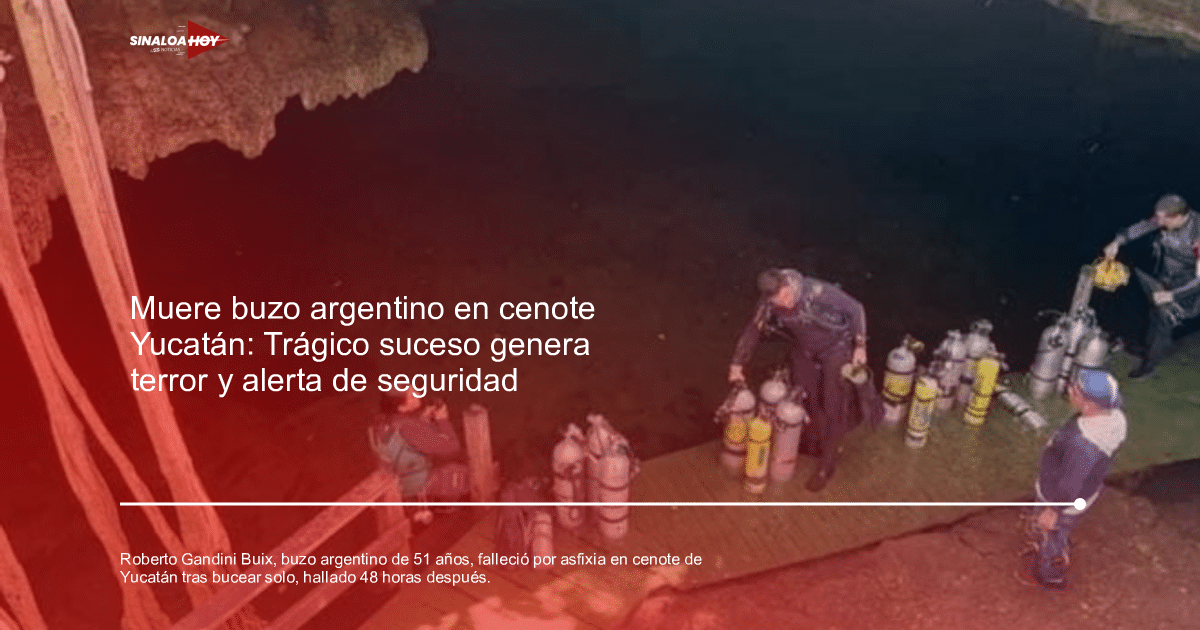 Personas preparándose para bucear en un muelle de madera junto a un entorno natural con agua clara y rocas.