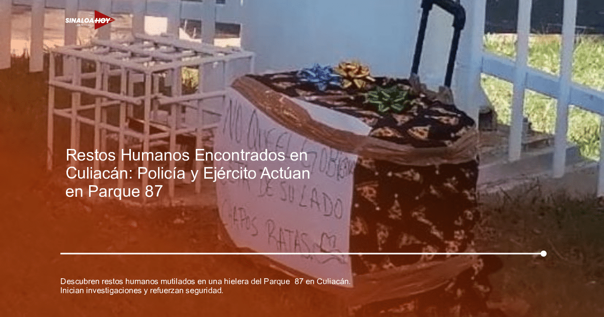 Objeto cubierto con diseño de pizza y mensaje crítico al gobierno en Culiacán.