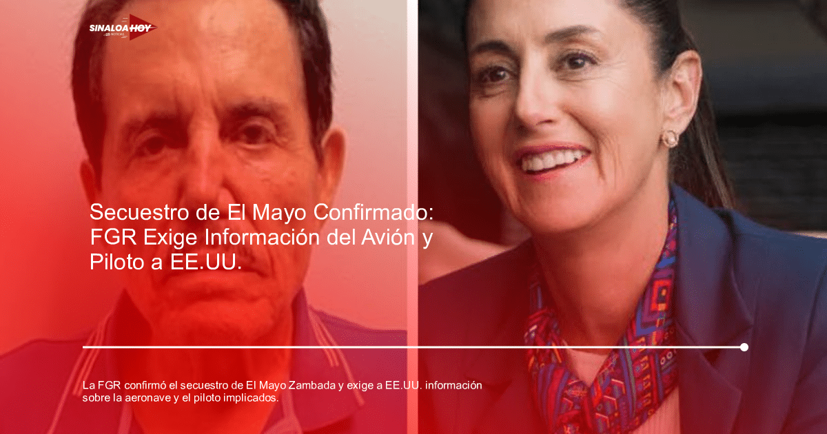 Imagen relacionada con la investigación del secuestro de El Mayo Zambada y la implicación de aeronaves con matrículas clonadas.