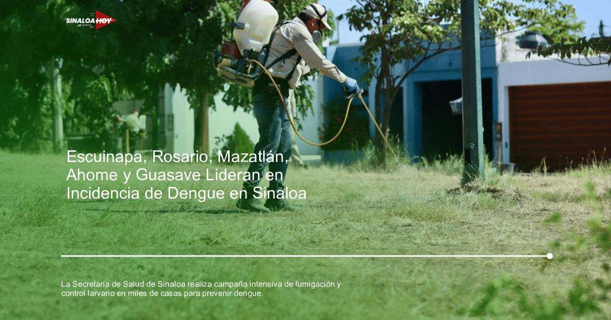. Sinaloa, casosdengue, Control de plagas, Fumigacion, salud pública