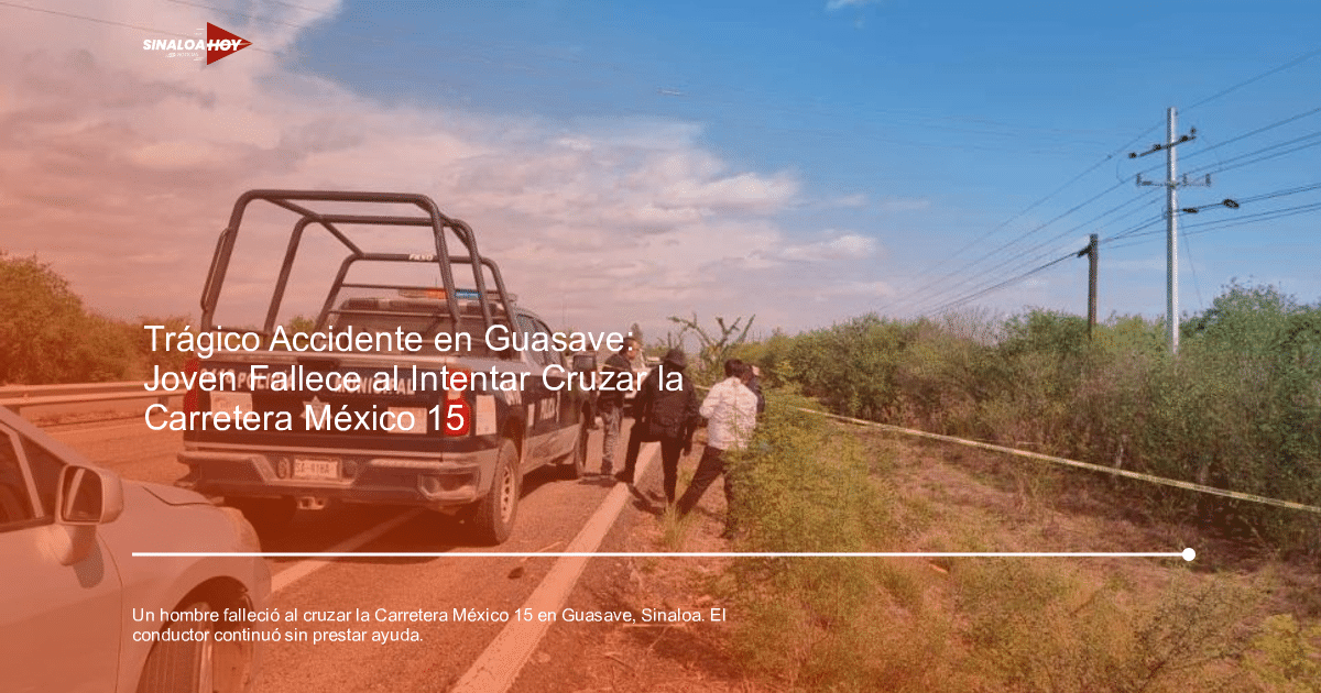 Accidente de tráfico, atropellamiento, Huida del conductor, Identificación de víctima desconocida., investigación forense