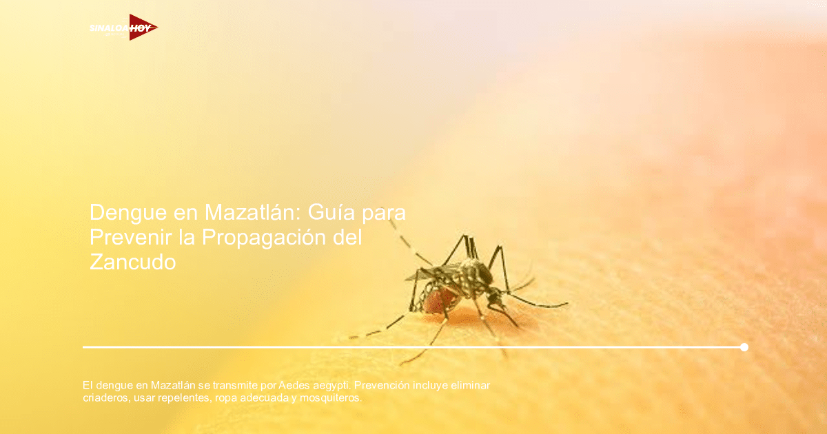 casosdengue, Estrategias de prevención, Mazatlán, salud pública, zancudos.