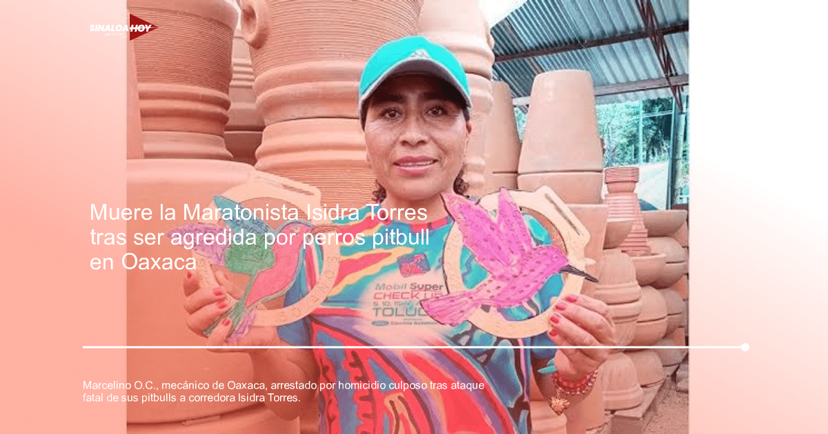 Afectaciones en Oaxaca, Ataque de perro, Detención, Homicidio culposo, Justicia penal