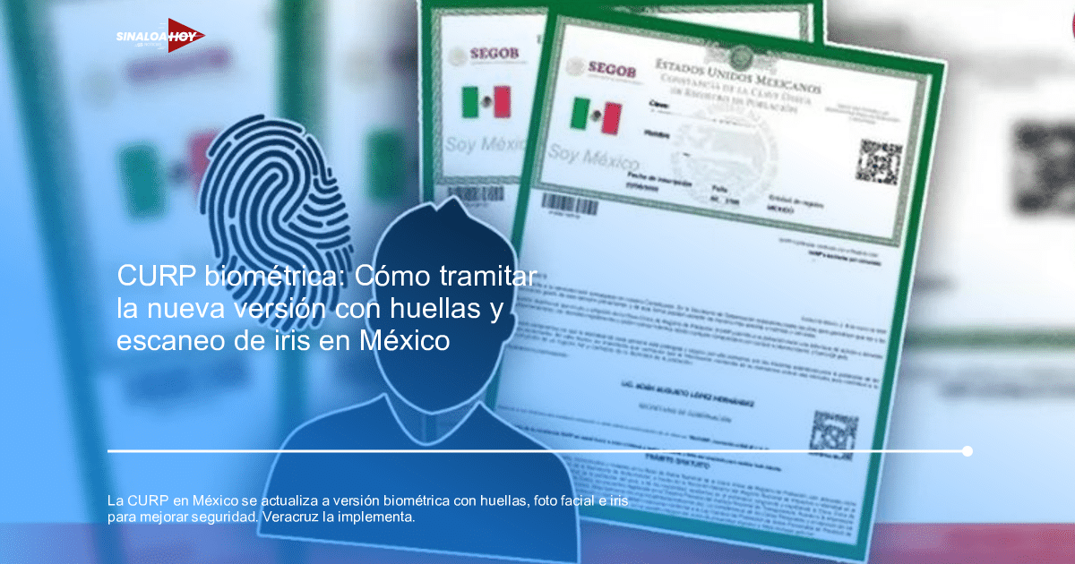 Documentos de identificación en México con elementos gráficos y huella dactilar, relacionados con la CURP biométrica.