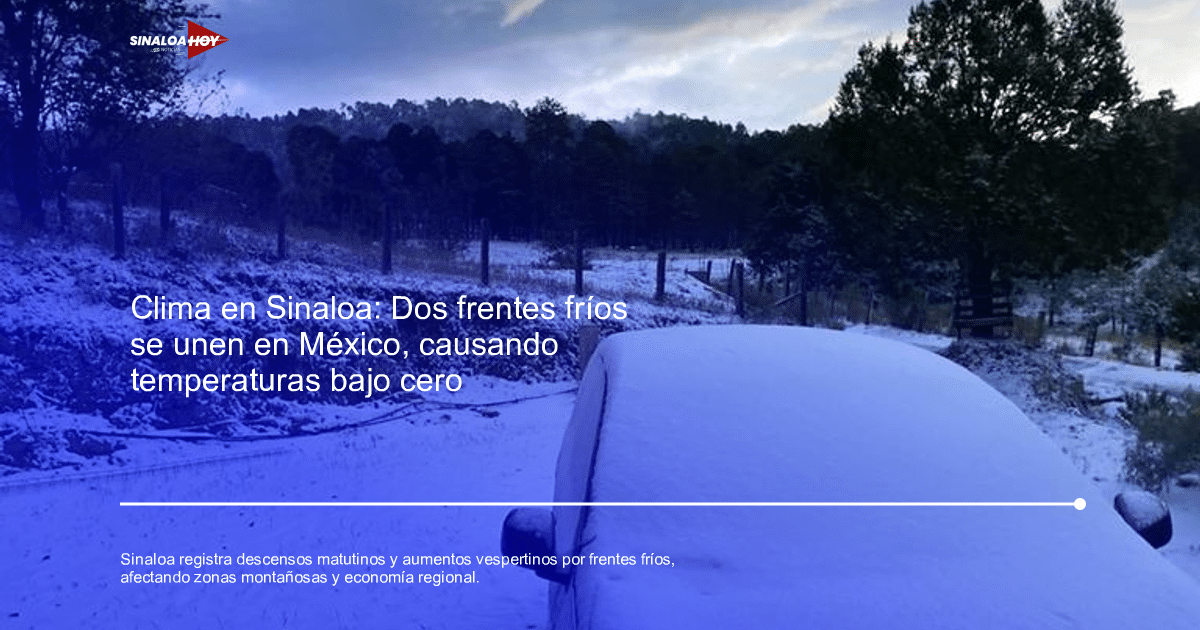 Automóvil cubierto de nieve en un paisaje rural con árboles y camino nevado, bajo un cielo nublado.