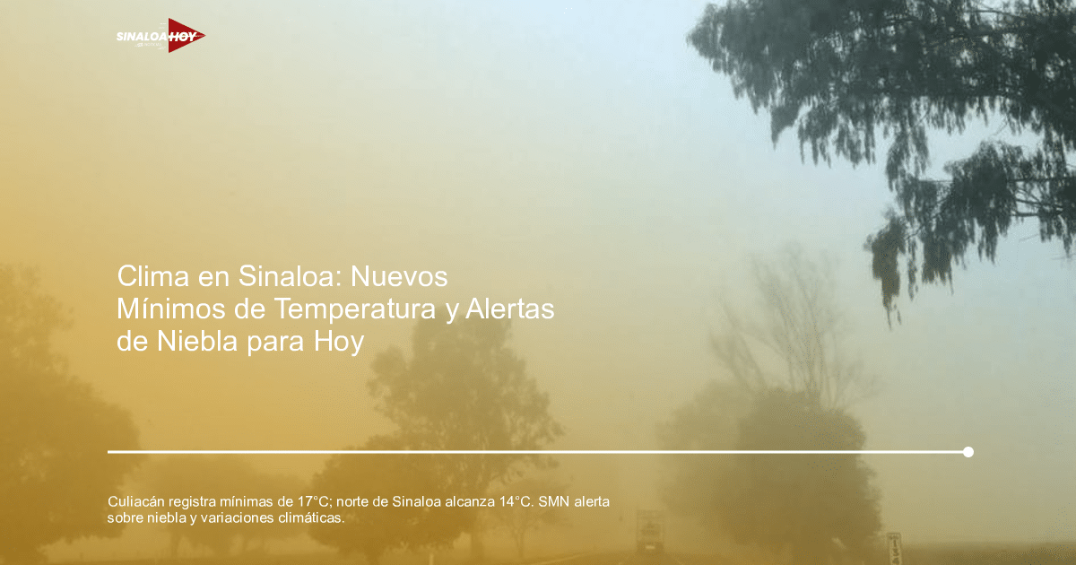 Carretera con niebla densa y árboles en Sinaloa, baja visibilidad