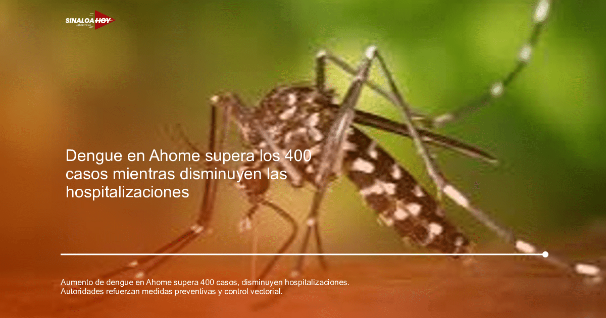 Mosquito Aedes aegypti, vector del dengue, con cuerpo delgado y alas delicadas.