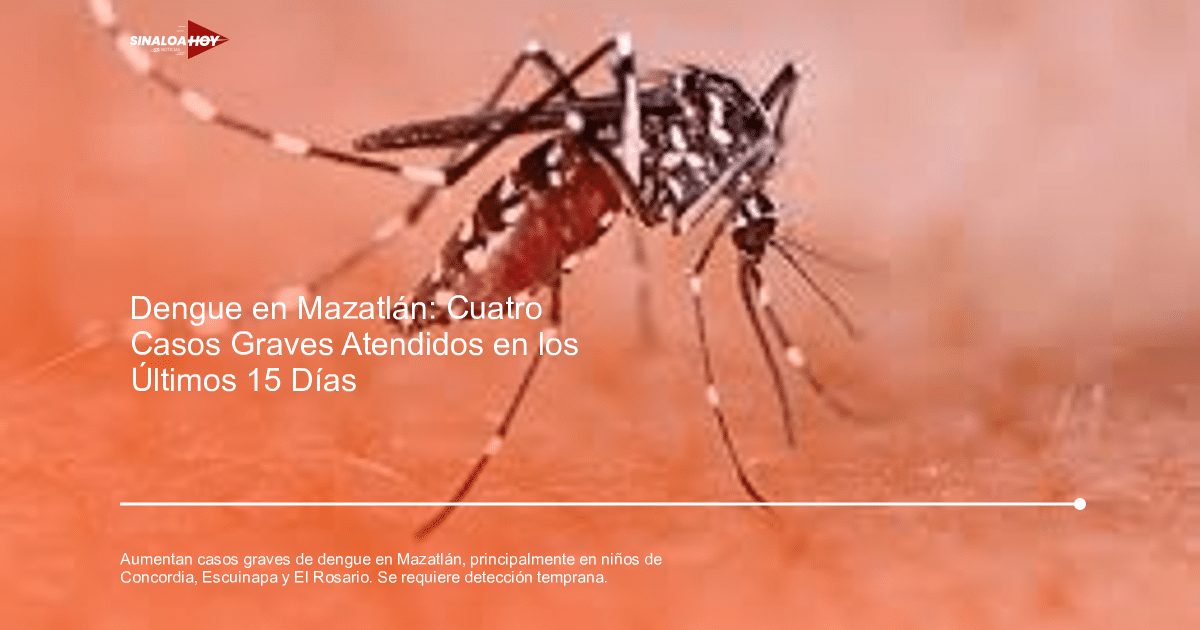 Mosquito Aedes sobre piel, relacionado con el dengue en Mazatlán