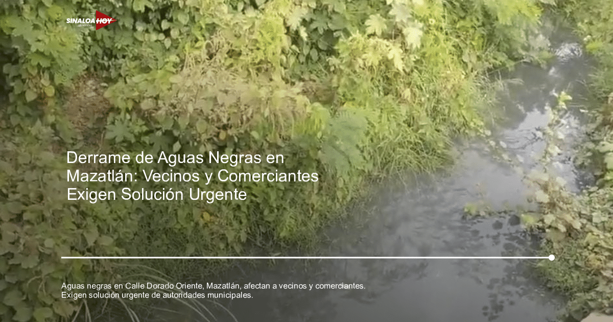 Canal con agua oscura y vegetación densa en Mazatlán, afectado por derrame de aguas negras.