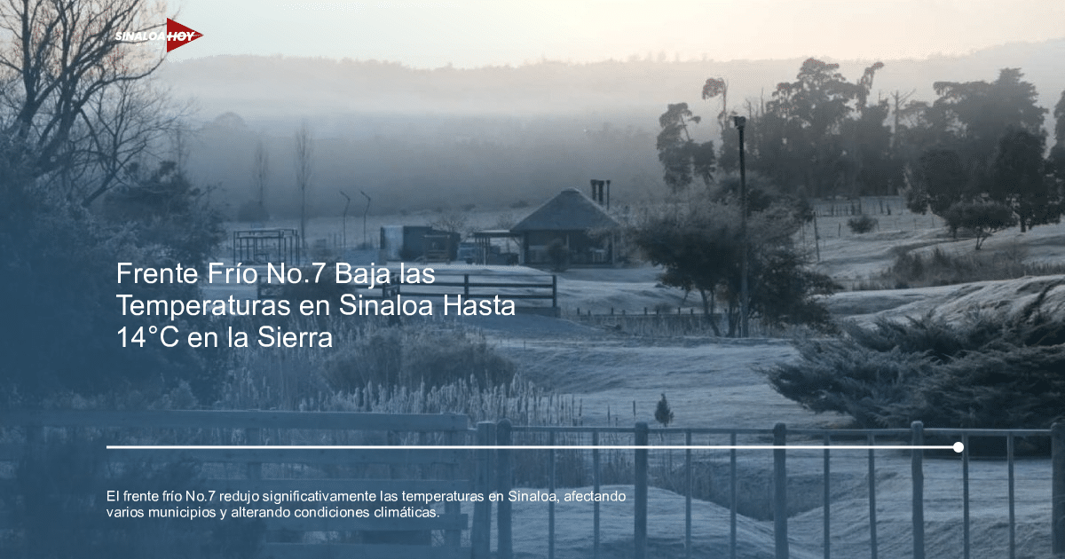 Paisaje frío en Sinaloa con escarcha, árboles sin hojas y una construcción en el fondo bajo una atmósfera brumosa.