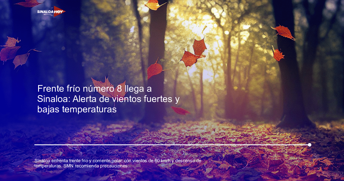 Paisaje forestal otoñal con hojas anaranjadas y amarillas y luz solar filtrándose entre los árboles.