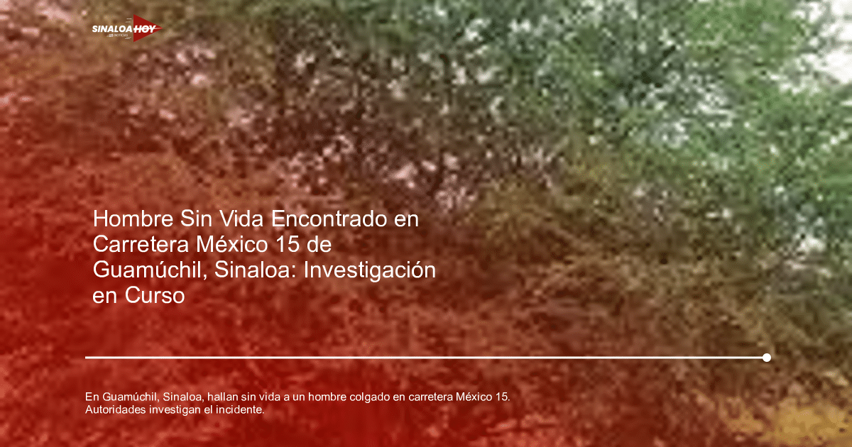 Árbol frondoso con hojas verdes en un entorno natural, vinculado a un hallazgo en Sinaloa.