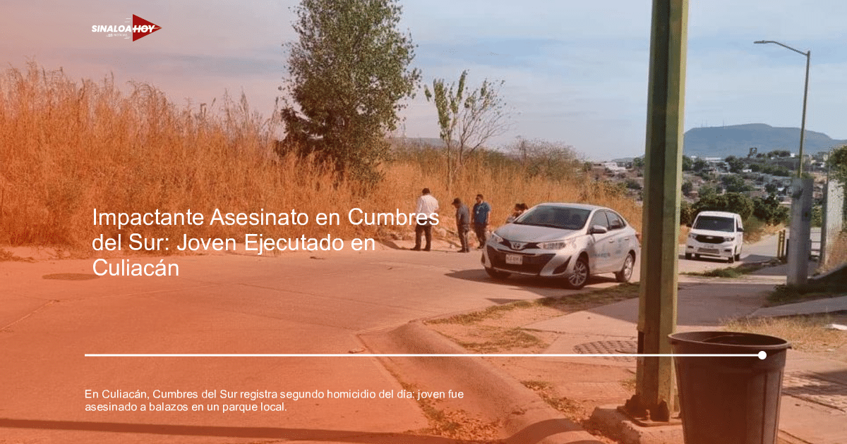 Calle en Cumbres del Sur, Culiacán, con vehículos y personas en un área residencial.