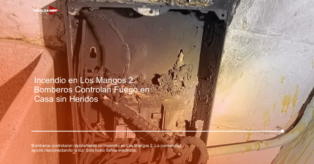 Panel eléctrico dañado con cables quemados y partes ennegrecidas, relacionado con un incendio en Los Mangos 2.