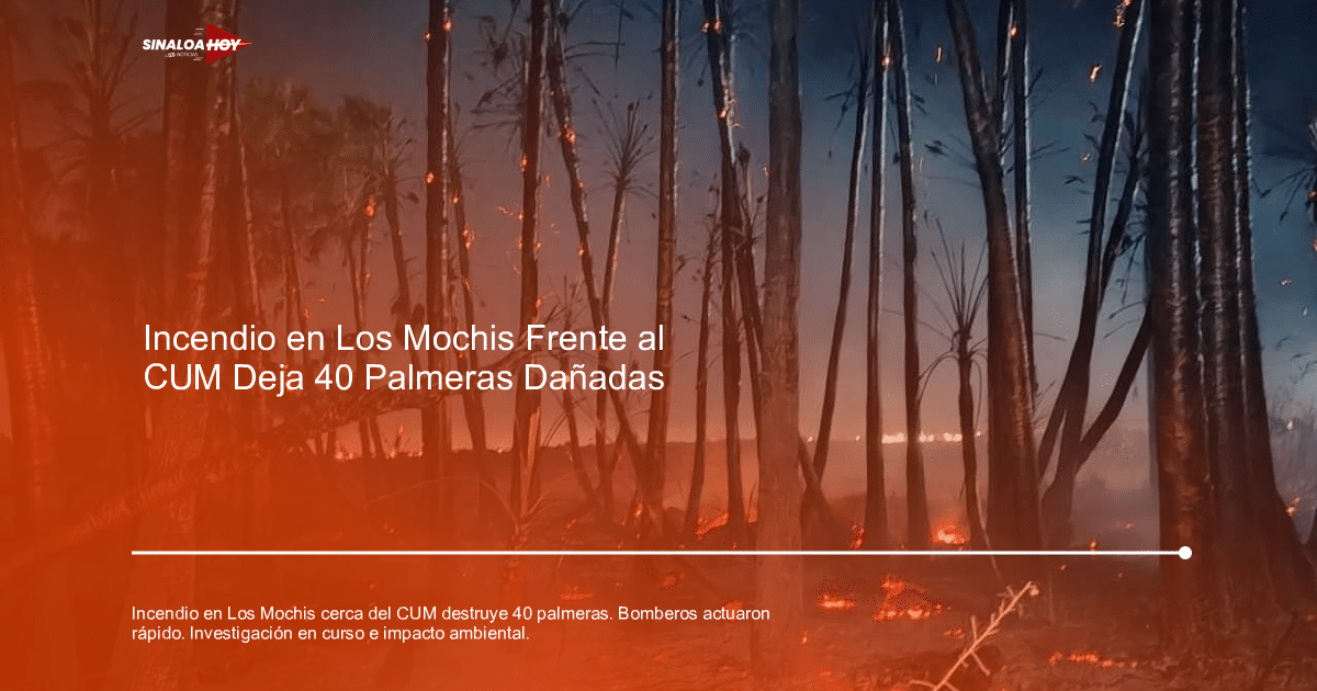 Incendio forestal en Los Mochis con árboles en llamas y humo en el aire