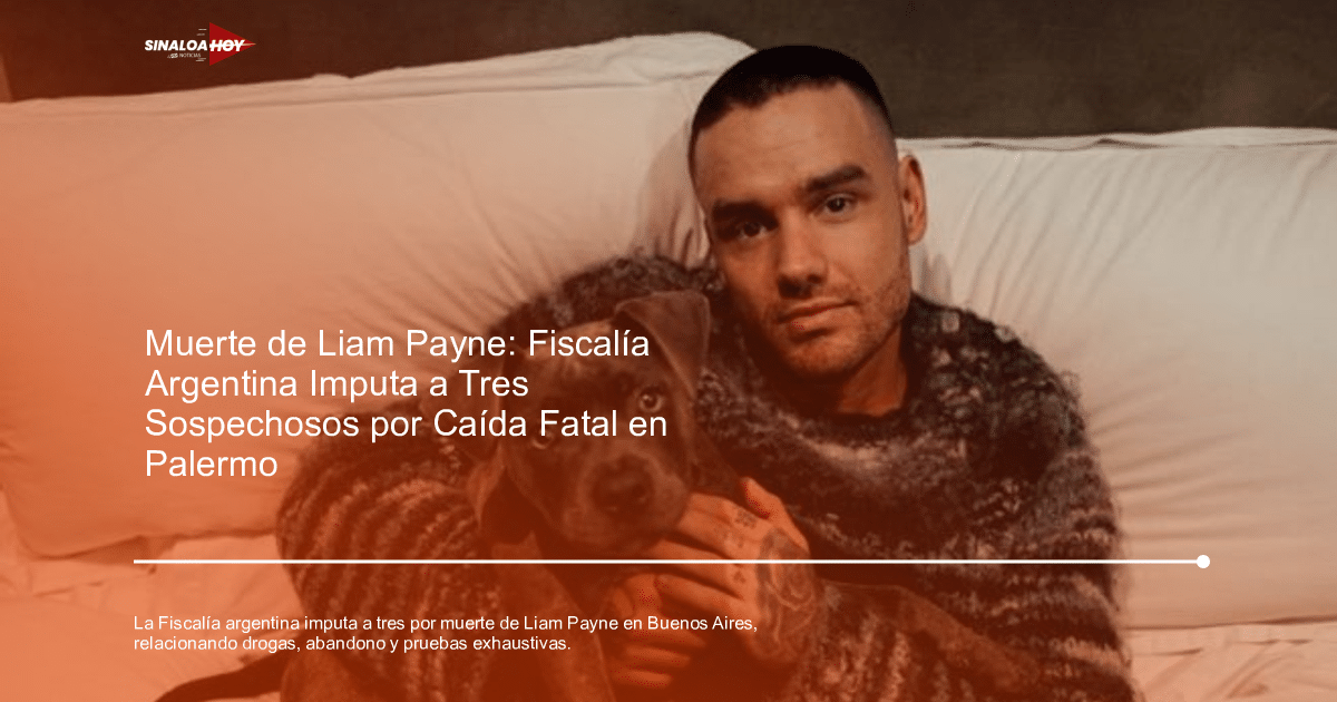 Persona con suéter oscuro y perro pitbull en cama con almohadas blancas