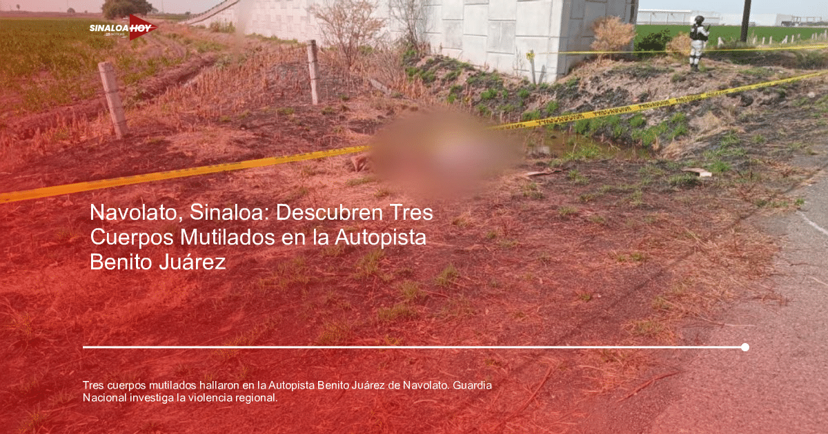 Escena del crimen en la autopista Benito Juárez con cuerpos mutilados