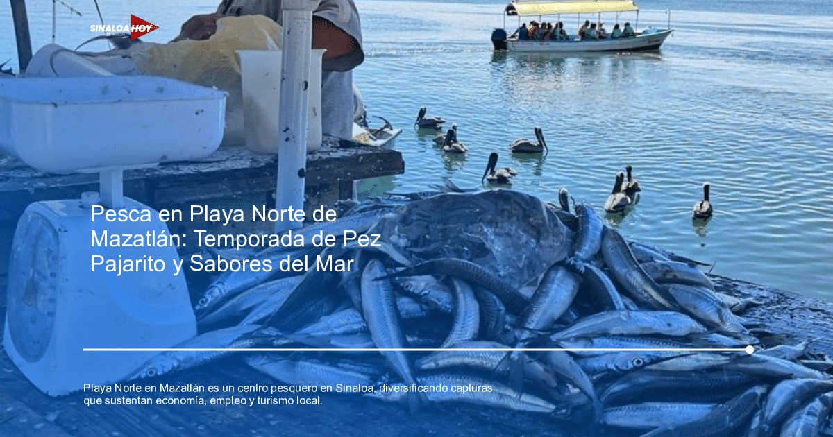 Peces apilados junto a una balanza en Playa Norte, Mazatlán, con un bote y pelícanos al fondo.