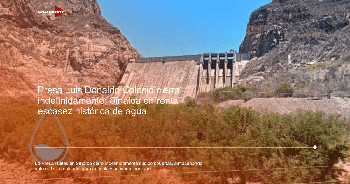 Vista de la represa Huites en Sinaloa con montañas y bosque, bajo un cielo despejado.