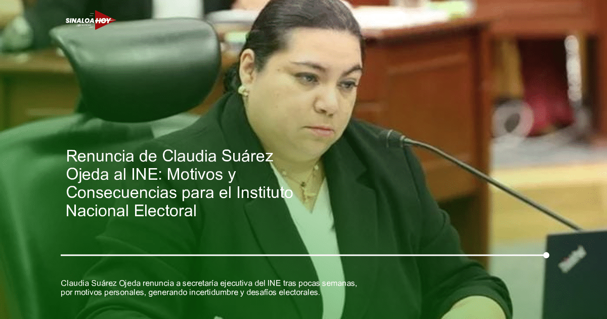 Mujer en reunión de trabajo en el INE, relacionada con la renuncia de Claudia Suárez Ojeda.