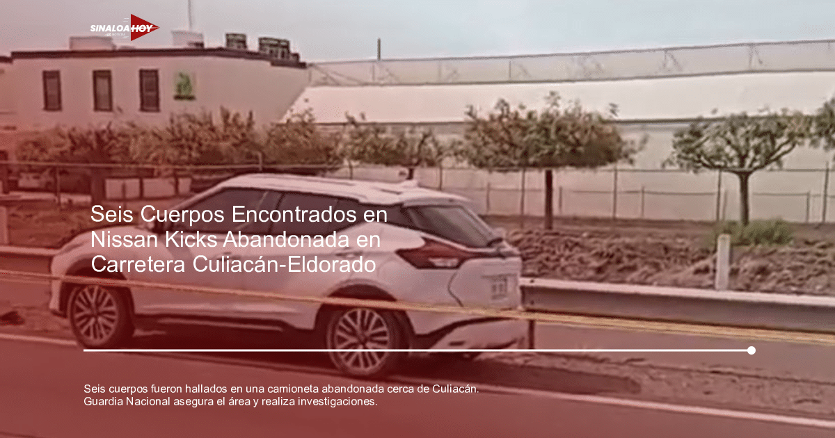 Automóvil blanco aparcado junto a una carretera en Culiacán, con edificios y árboles al fondo.