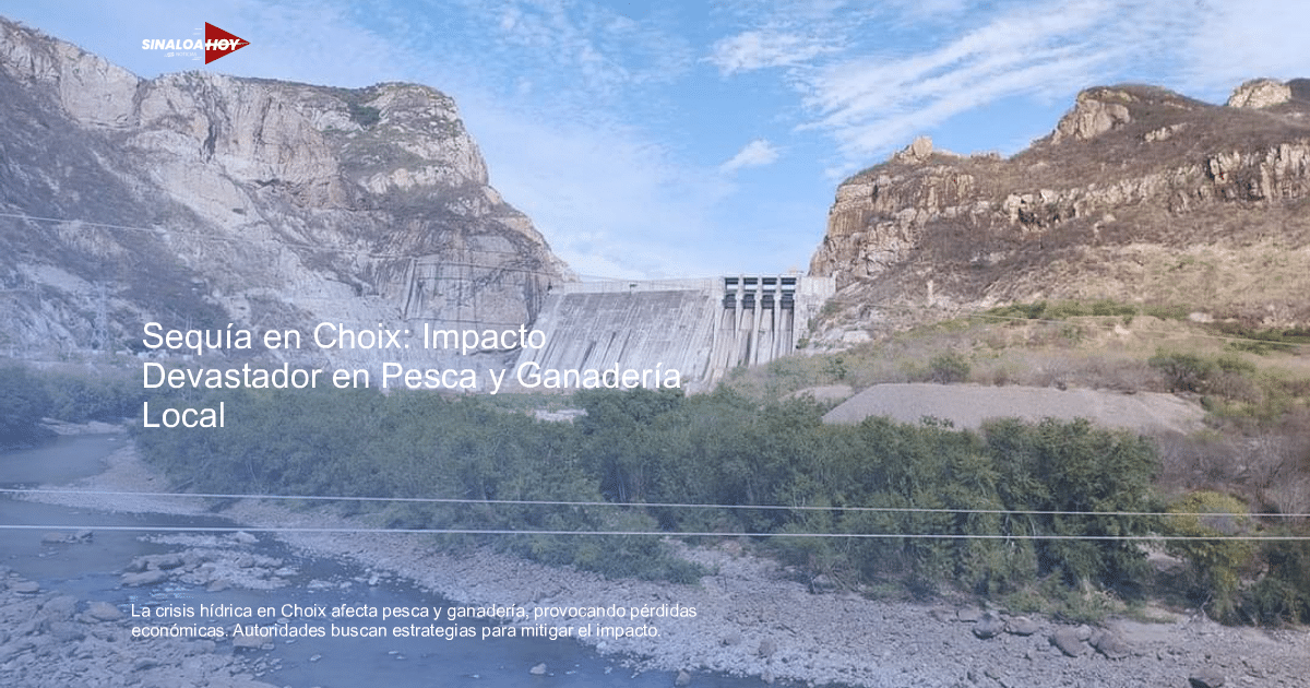 Vista de una represa de concreto entre montañas, con un río y vegetación en primer plano, bajo un cielo parcialmente nublado.