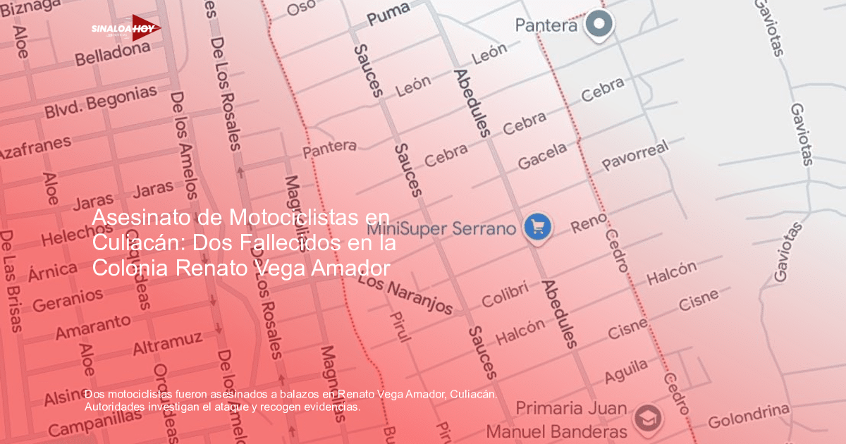Mapa de la colonia Renato Vega Amador con calles y puntos de interés destacados.