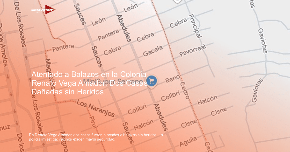 Mapa de la colonia Renato Vega Amador con el MiniSuper Serrano y calles como Pantera, Magnolias, y Colibrí.
