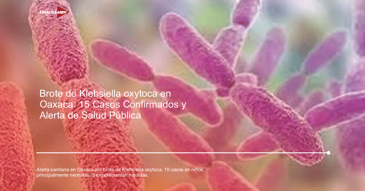 Microscopio electrónico mostrando bacterias púrpuras alargadas, relacionadas con Klebsiella oxytoca.