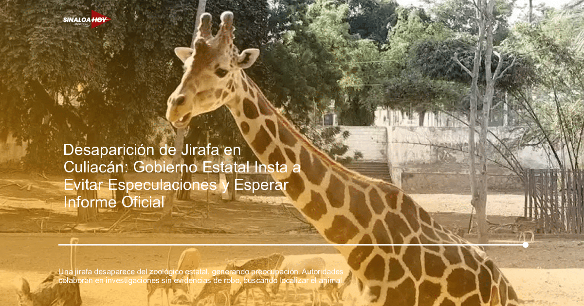 Jirafa en primer plano con ciervos y avestruces en el fondo en un entorno natural