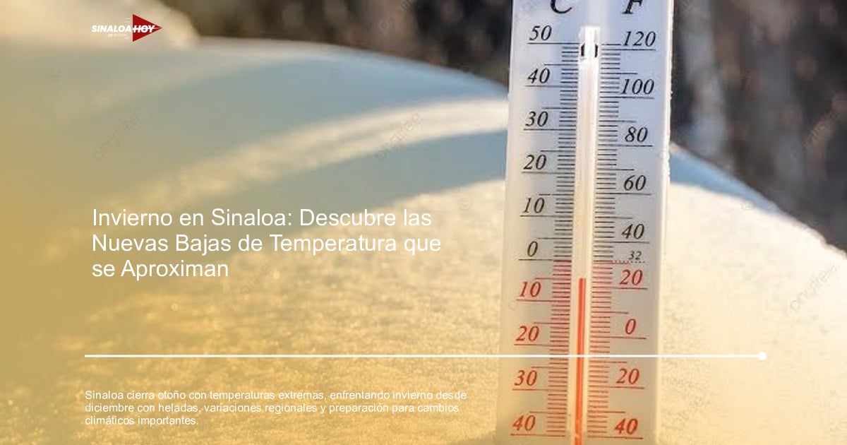 #Agricultura #Trigo #Clima, frente frío, Horario invierno, Sinaloa, Temperaturas extremas