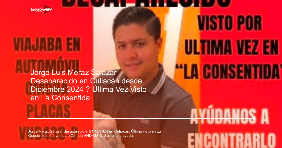 Cartel de búsqueda de Jorge Luis Meraz Salazar con detalles de su desaparición y foto con un bebé.