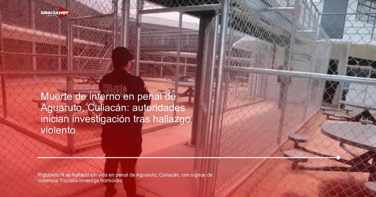 Oficial de seguridad mirando un área cercada en una instalación penitenciaria